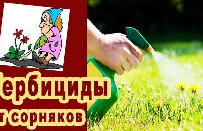 Больше урожая